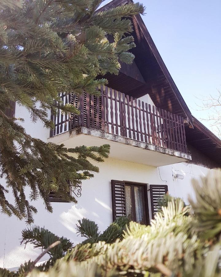 Sorg House Forest & Lake Villa Besenovacki Prnjavor Dış mekan fotoğraf