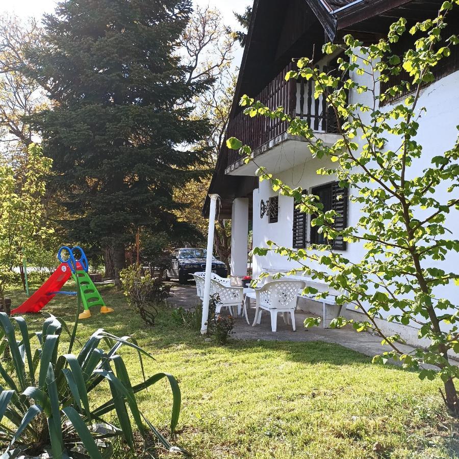 Sorg House Forest & Lake Villa Besenovacki Prnjavor Dış mekan fotoğraf