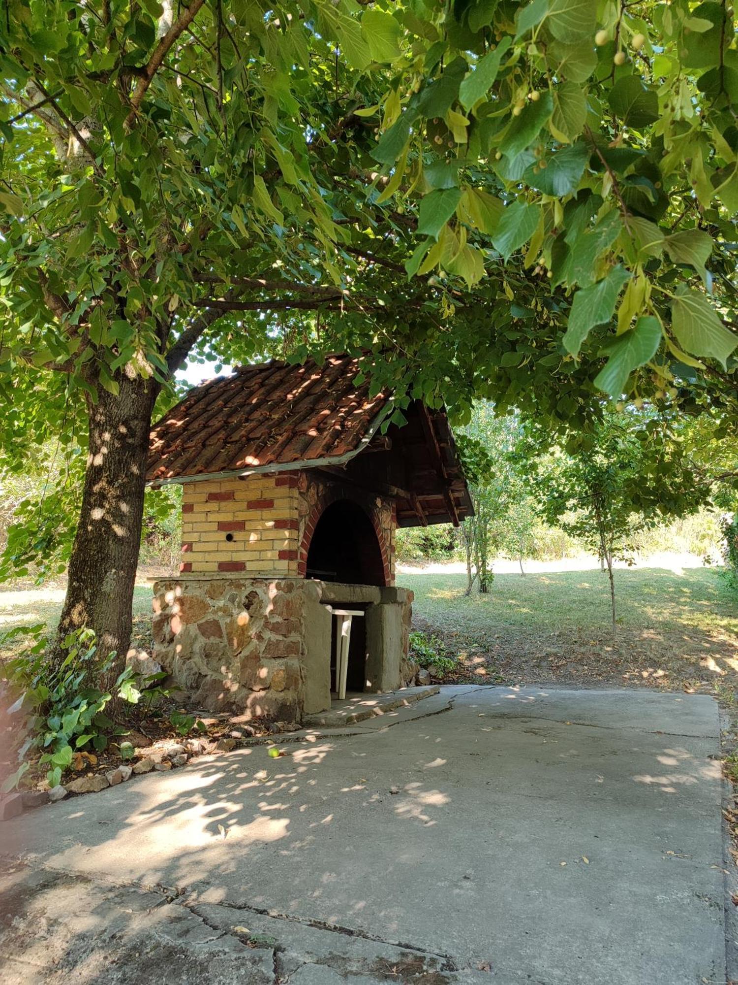 Sorg House Forest & Lake Villa Besenovacki Prnjavor Dış mekan fotoğraf